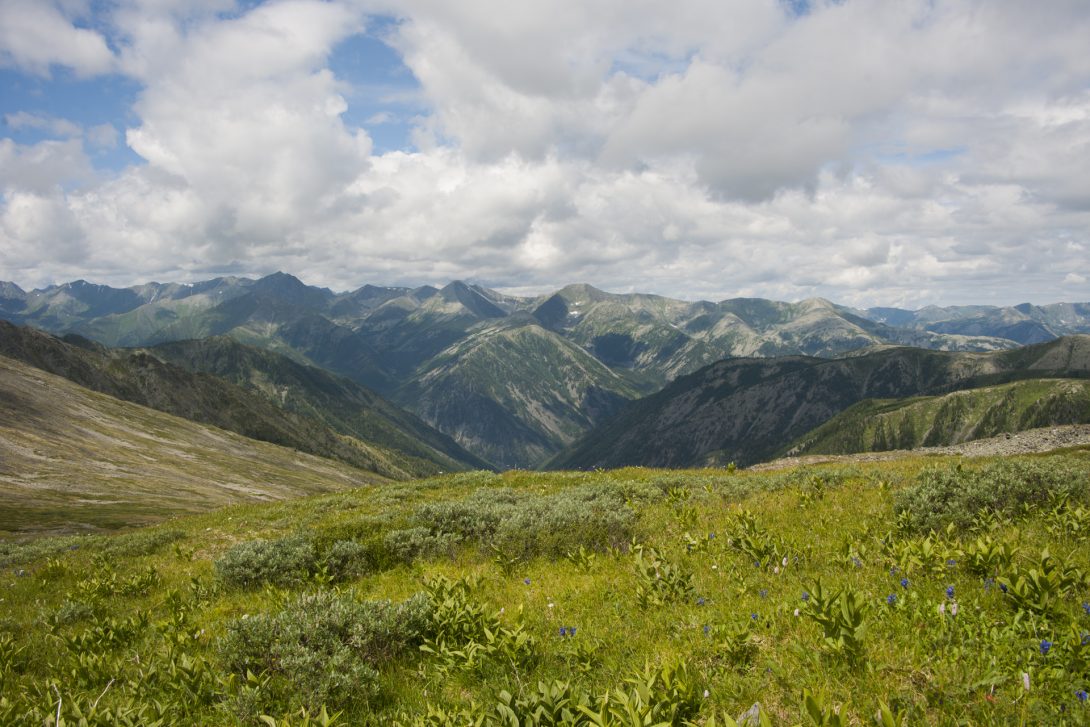 Алтая Саянский охранный заповедник