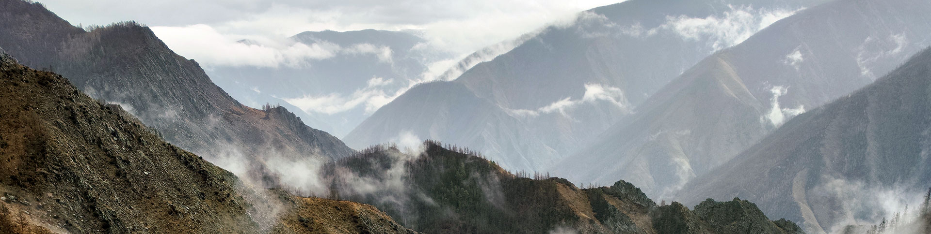 заповедник